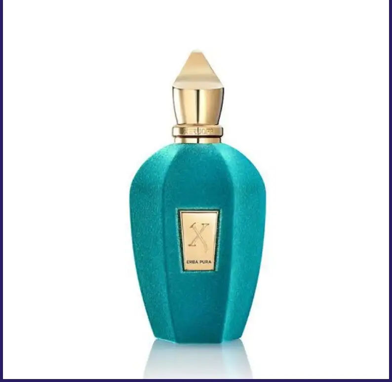 Erba Pura by Xerjoff perfume